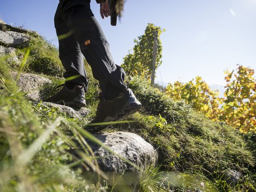 Brixen | Holidays at the ADAM Suites Brixen | Holidays at the ADAM Suites